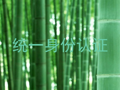 统一身份认证