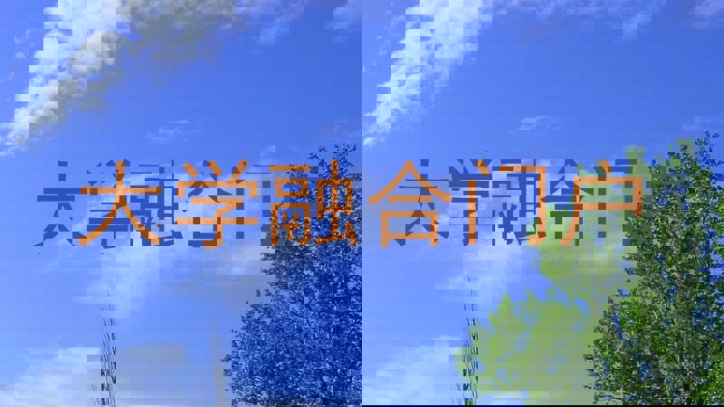 大学融合门户
