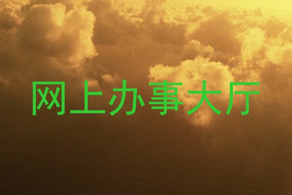 网上办事大厅