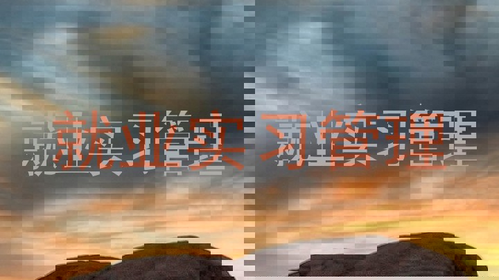 就业实习管理