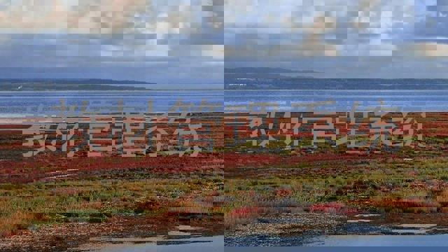 教材管理系统