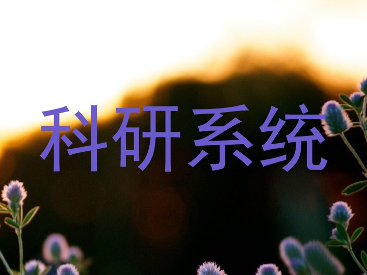 科研系统