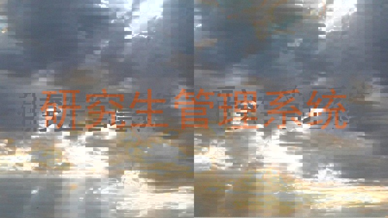 研究生管理系统