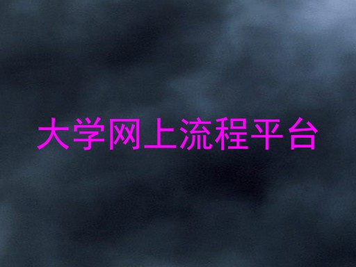 大学网上流程平台