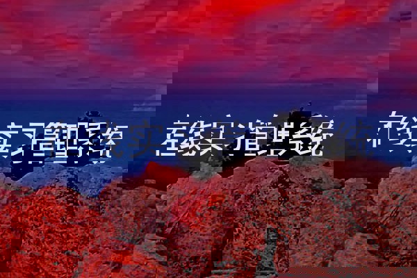 在线实习管理系统
