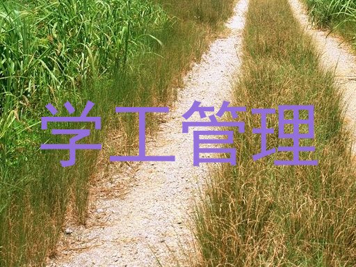 学工管理