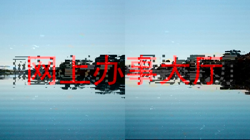 网上办事大厅
