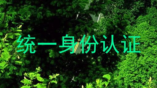 统一身份认证