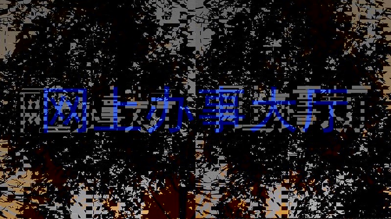 网上办事大厅