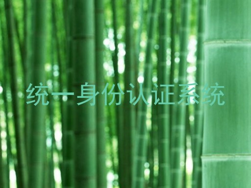 统一身份认证系统
