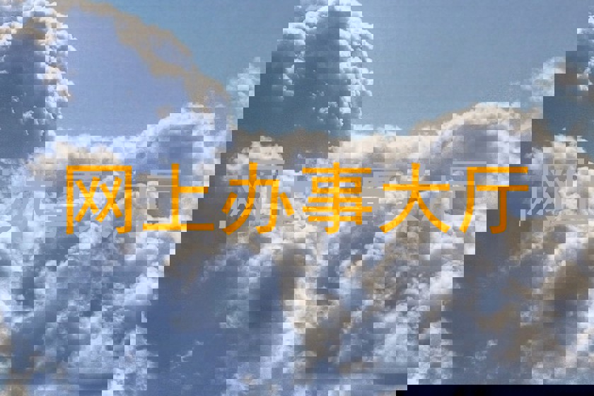 网上办事大厅