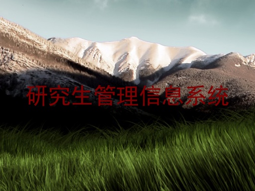 研究生管理信息系统