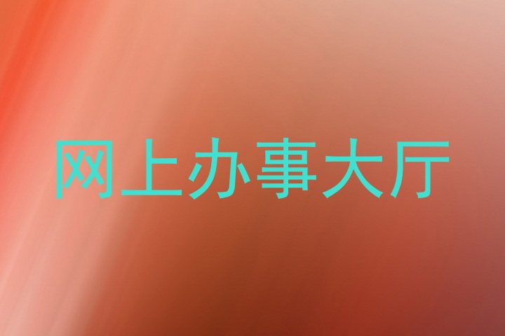网上办事大厅