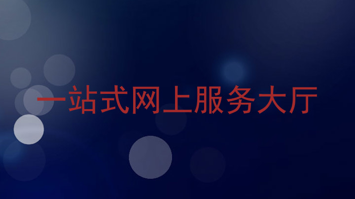 一站式网上服务大厅