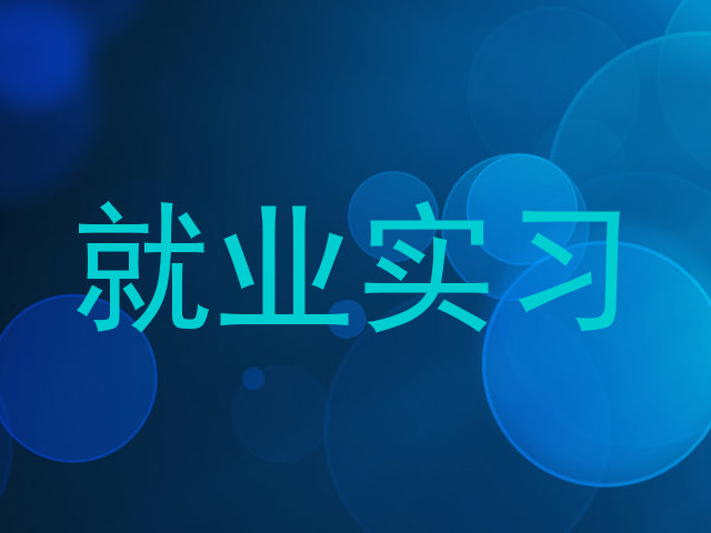 就业实习