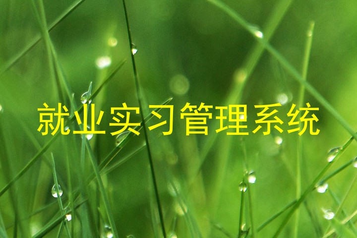 就业实习管理系统