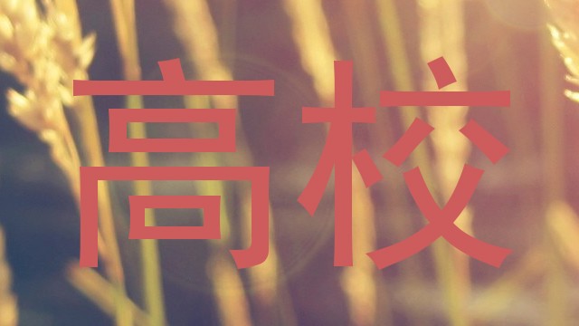 高校