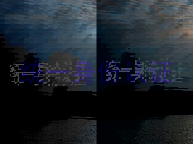 统一身份认证