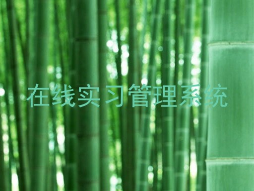 在线实习管理系统