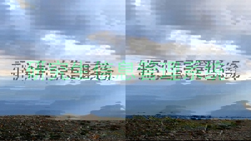 研究生信息管理系统
