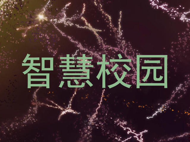 智慧校园