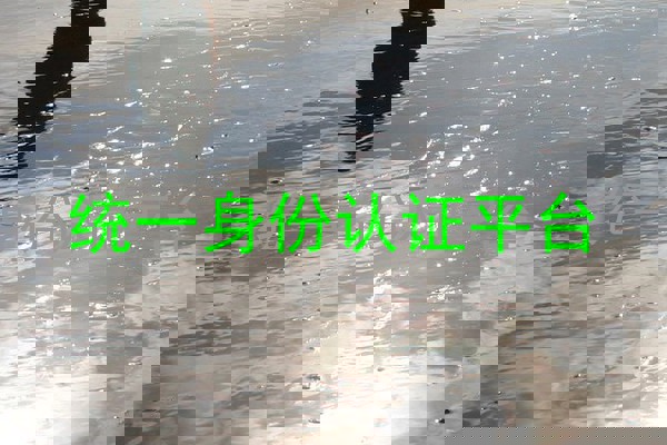 统一身份认证平台