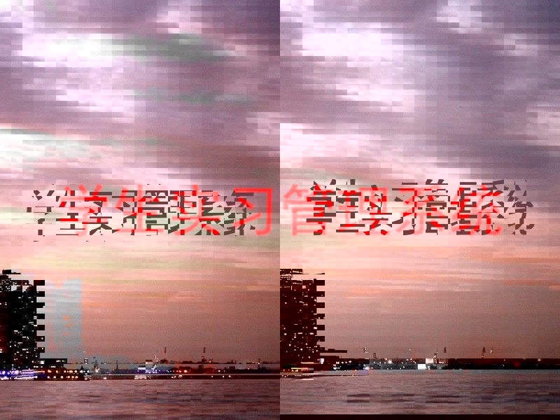 学生实习管理系统