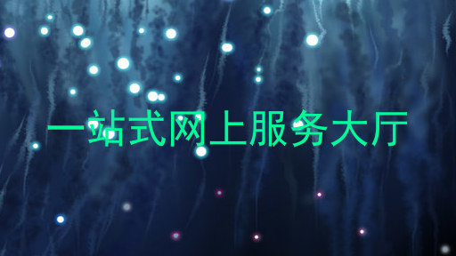 一站式网上服务大厅