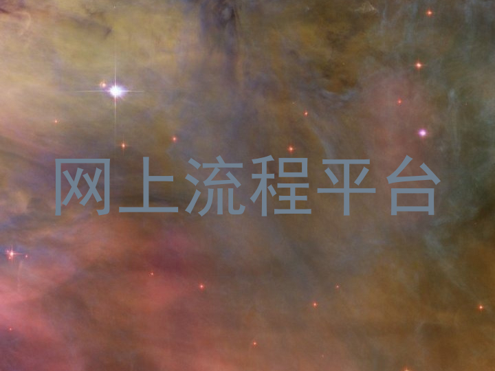 网上流程平台