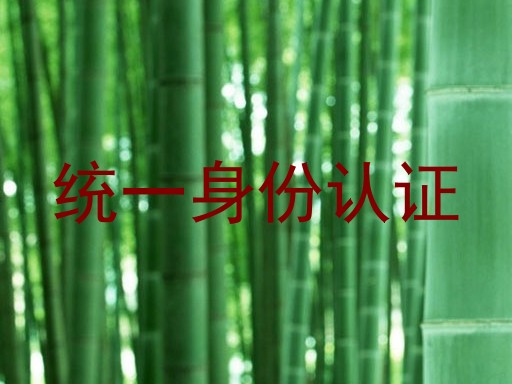 统一身份认证