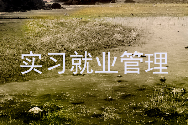 实习就业管理