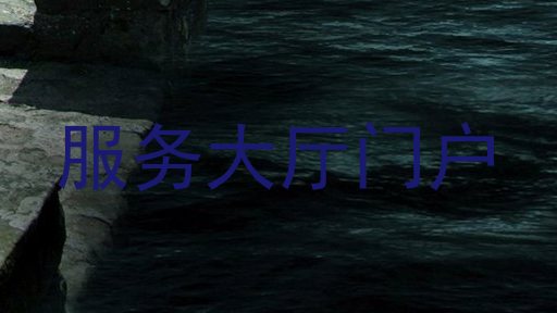 服务大厅门户