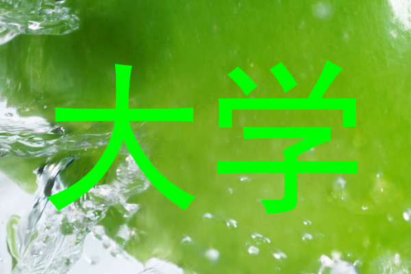 大学