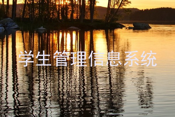 学生管理信息系统