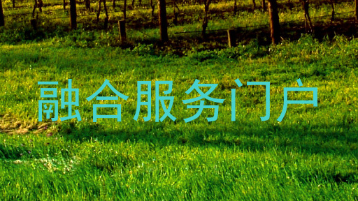 融合服务门户