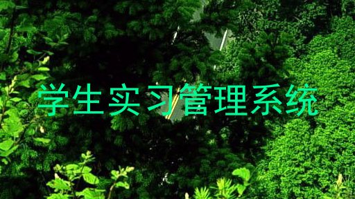 学生实习管理系统