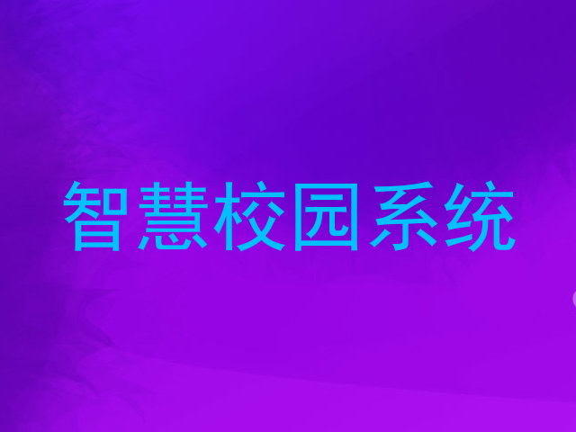 智慧校园系统