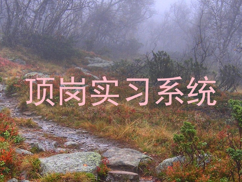 顶岗实习系统