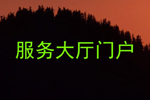 服务大厅门户