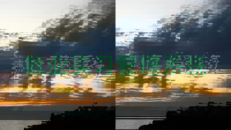 就业实习管理系统