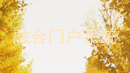 融合门户系统