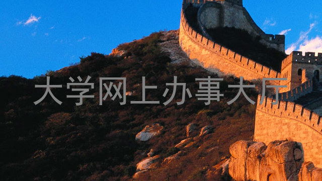 大学网上办事大厅