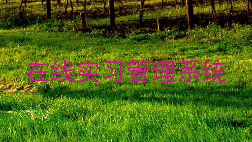 在线实习管理系统