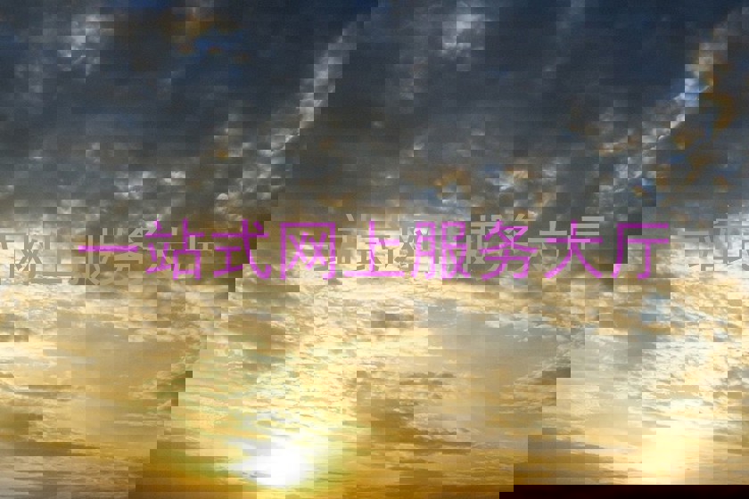 一站式网上服务大厅