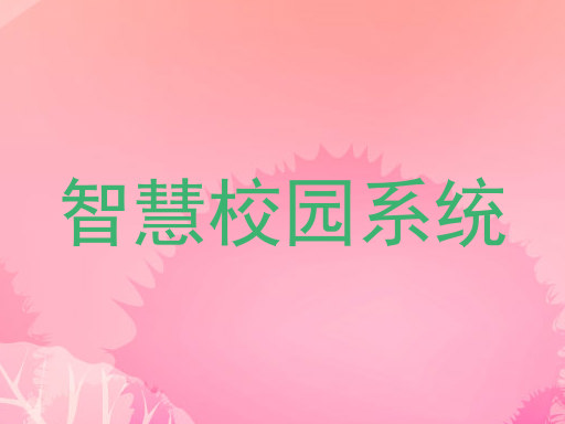 智慧校园系统