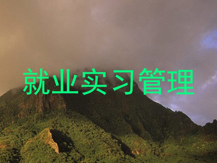就业实习管理