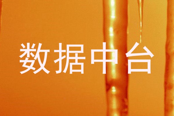 数据中台