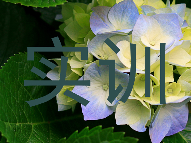 实训