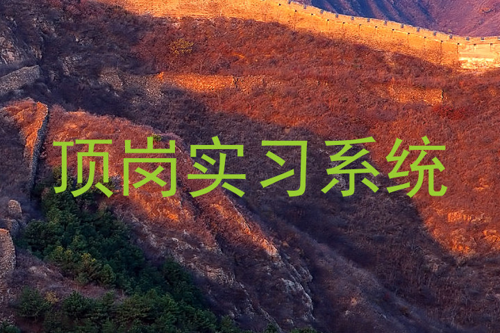 顶岗实习系统