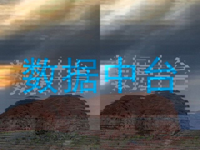 数据中台
